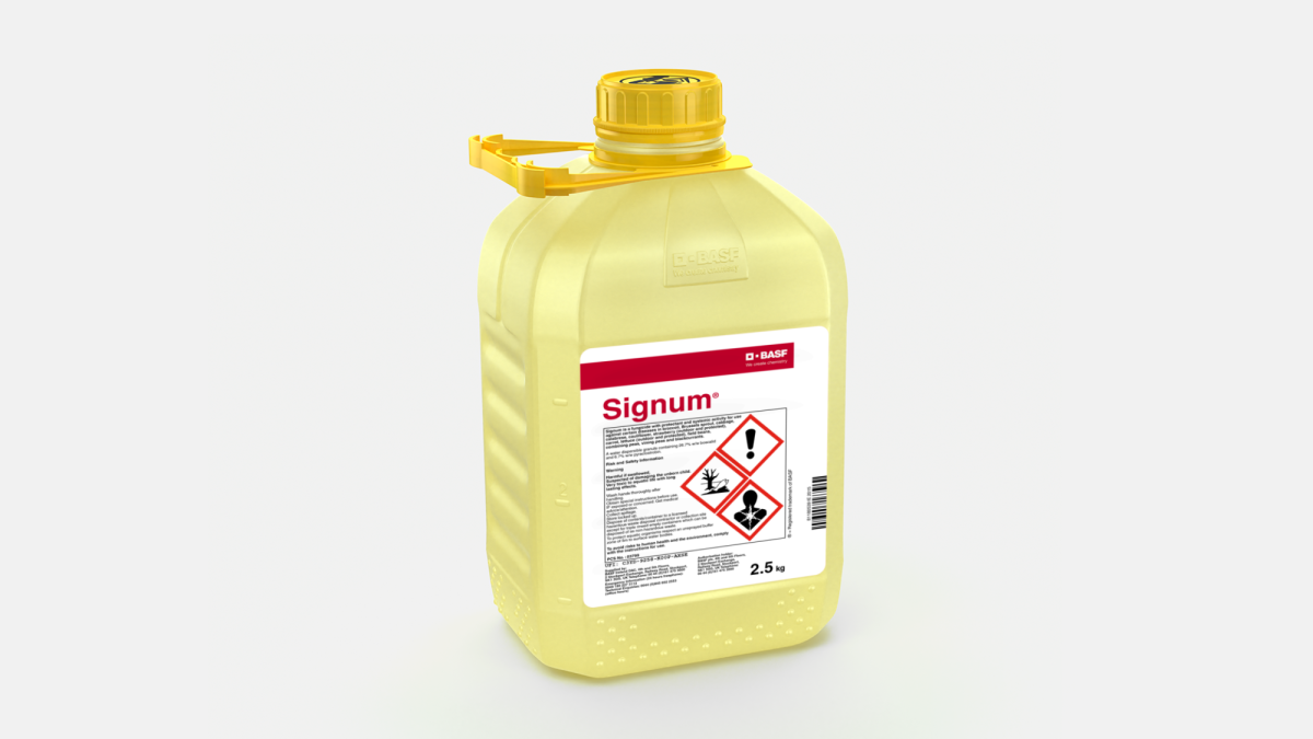 Signum - 58972581