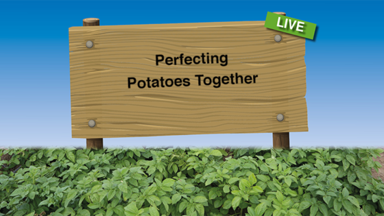Perfecting Potatoes Together