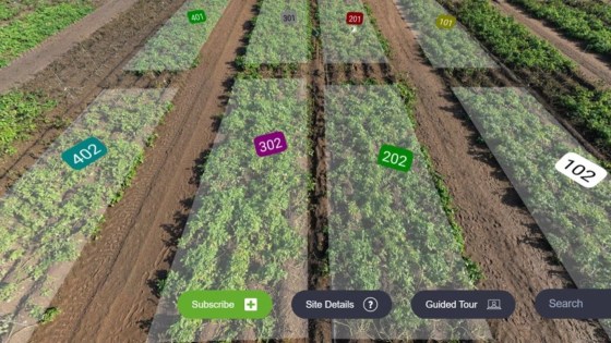 Potato Blight Virtual Tour