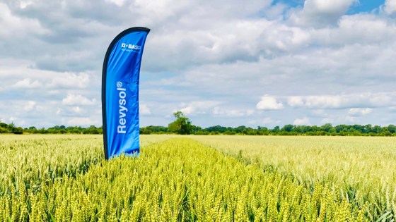 New cornerstone of cereal disease control