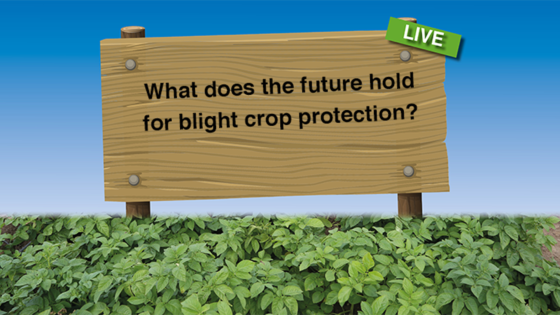 What does the future hold for blight crop protection?