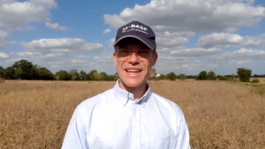 High technology used to measure and value potato treatment