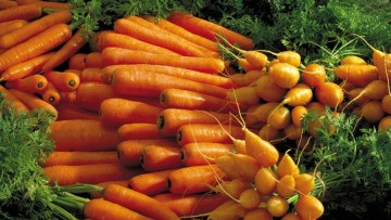 Vegetables
