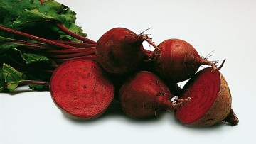 Fodder Beet